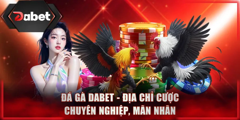 Đá Gà DABET - Địa chỉ cược chuyên nghiệp, mãn nhãn