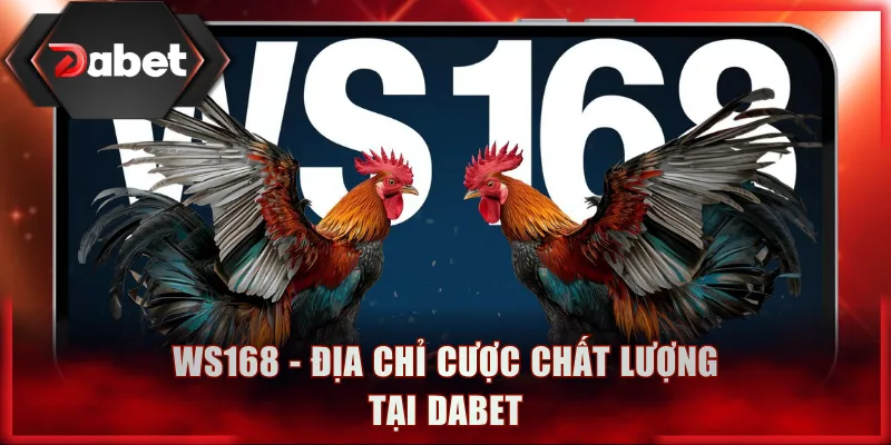WS168 - Sảnh đá gà DABET hiện đại, chỉn chu
